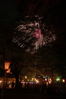 DSC_0459.jpg