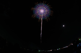DSC_0462.jpg
