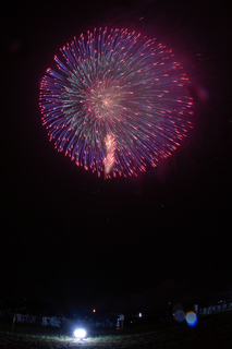 DSC_0466.jpg