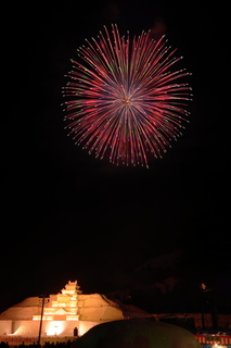 DSC_0469.jpg