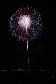DSC_0517.jpg