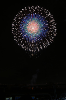 DSC_0529.jpg