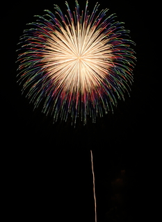 DSC_0541.jpg