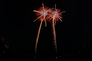 DSC_0557.jpg