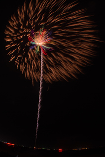 DSC_0559.jpg