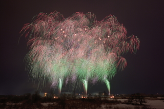 DSC_0590.jpg