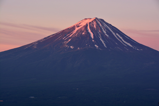 DSC_0611.jpg