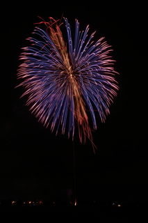 DSC_0635.jpg