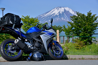 DSC_0648.jpg
