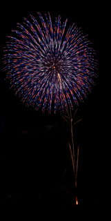DSC_0678.jpg