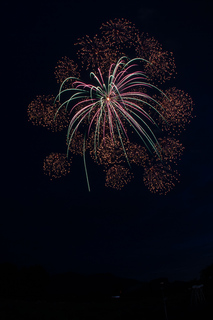 DSC_0684.jpg