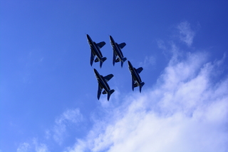 DSC_0684.jpg