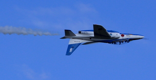 DSC_0701.jpg