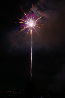 DSC_0706.jpg