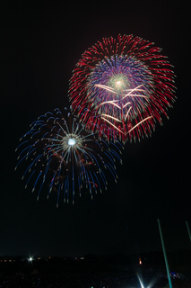 DSC_0707.jpg