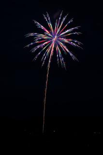 DSC_0719.jpg