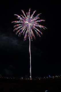 DSC_0738.jpg