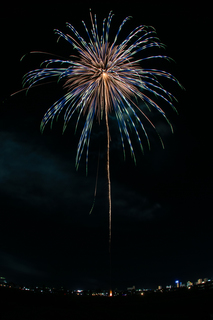 DSC_0739.jpg