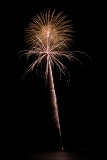 DSC_0777.jpg