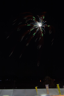 DSC_0785.jpg