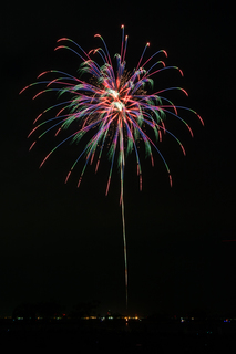DSC_0787.jpg