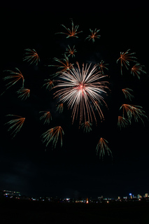 DSC_0788.jpg
