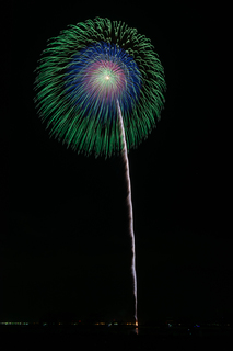 DSC_0798.jpg