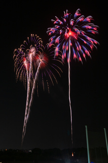 DSC_0818.jpg