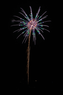 DSC_0819.jpg