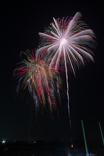 DSC_0820.jpg