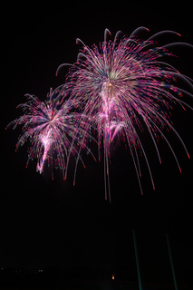DSC_0827.jpg