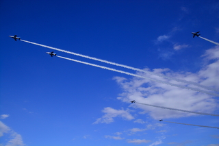 DSC_0828.jpg