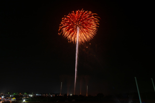 DSC_0856.jpg