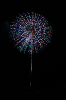 DSC_0875.jpg