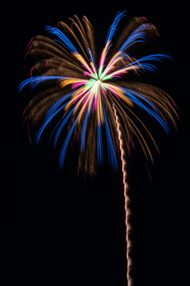 DSC_0879.jpg