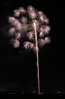 DSC_0886.jpg
