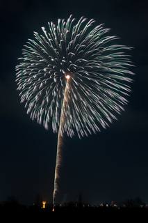 DSC_0893.jpg