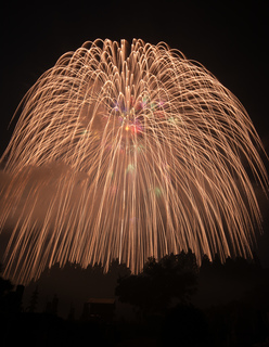 DSC_0894.jpg