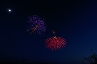 DSC_0902.jpg