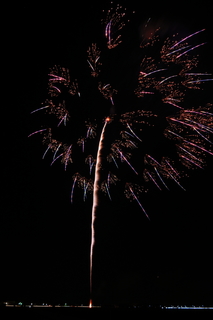 DSC_0919.jpg