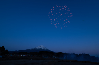 DSC_0933.jpg