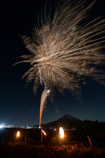 DSC_0975c.jpg