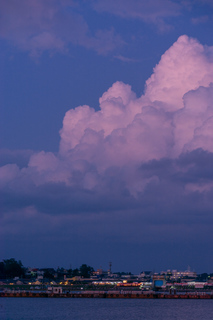 DSC_0989.jpg