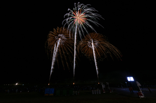 DSC_4205.jpg