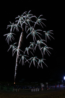 DSC_4219.jpg