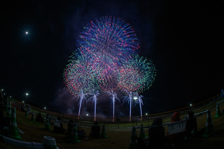 DSC_4784.jpg
