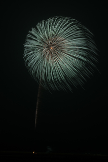 DSC_6124.jpg