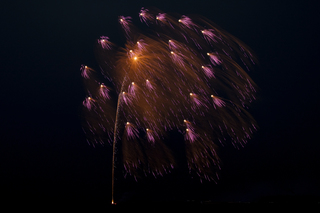 DSC_6142.jpg