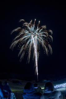 DSC_6406.jpg