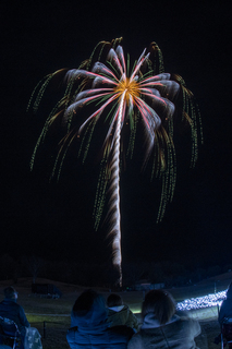 DSC_6421.jpg